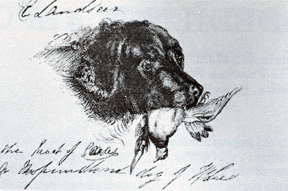 The Head of Caesar, a Newfoundland Dog by Sir Edwin Landseer