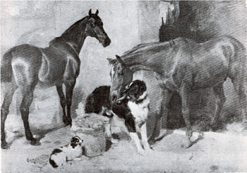 Landseer's "Horses and Dog with a Carrot" 1827