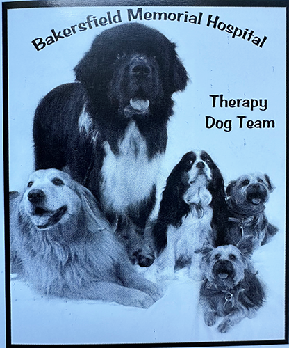 Therapy Dog Poster